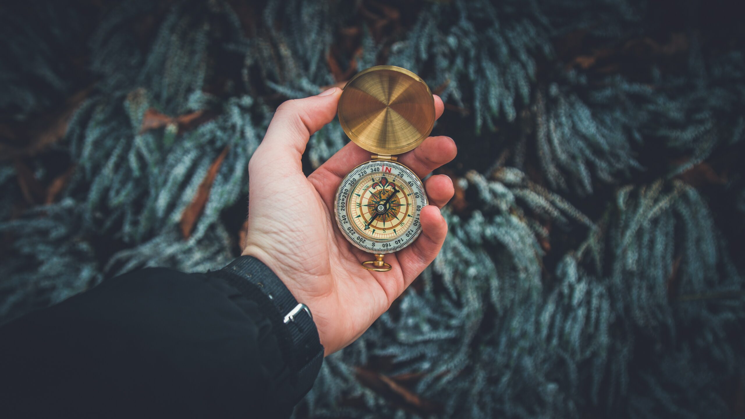 valentin-antonucci-LTgTfES5hBI-unsplash