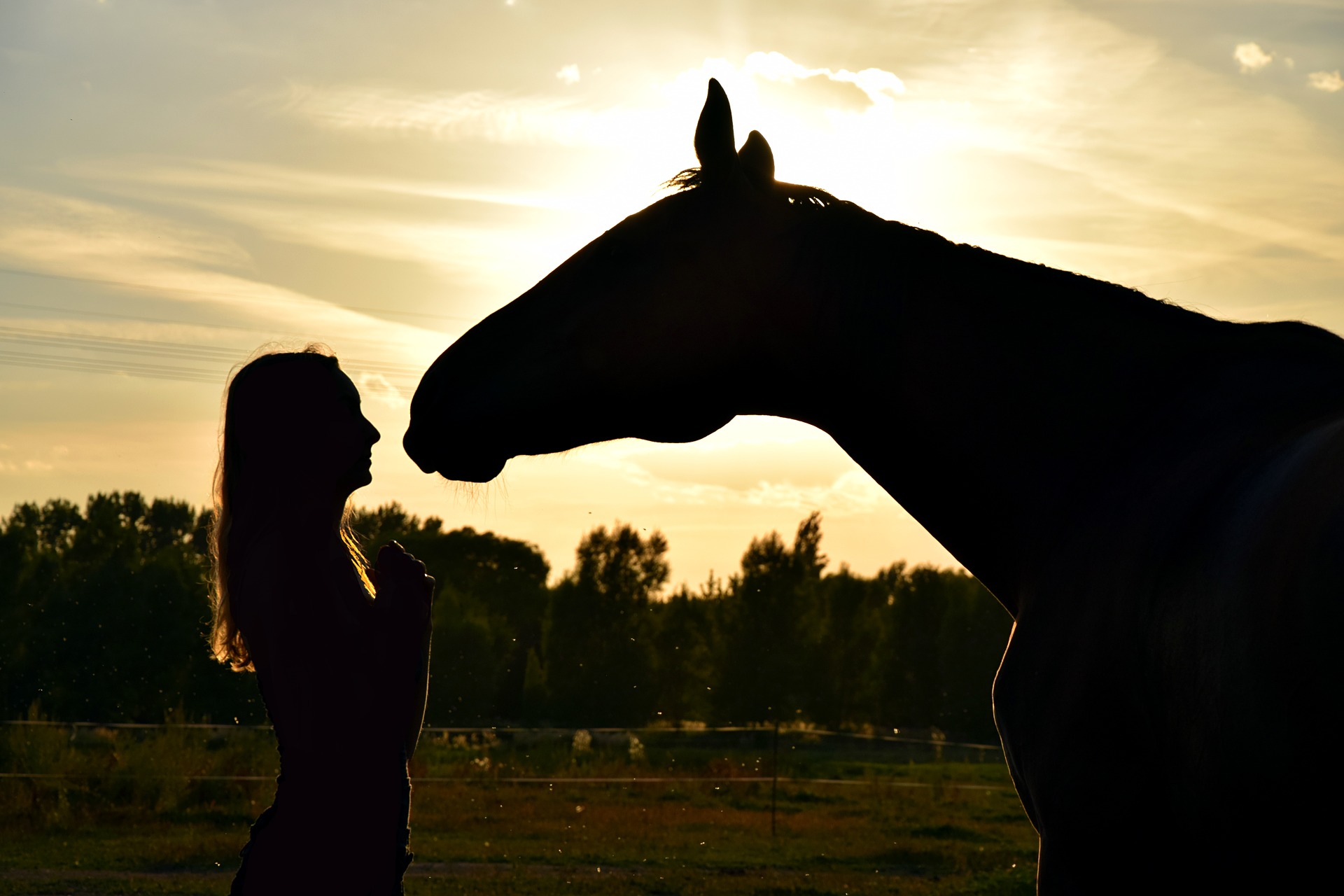 sunset-1722437_1920 Rebecca Scholz auf Pixabay